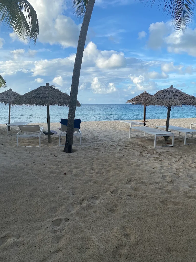 Destined Travel Services